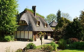 Le Petit Coq aux Champs - Les Collectionneurs